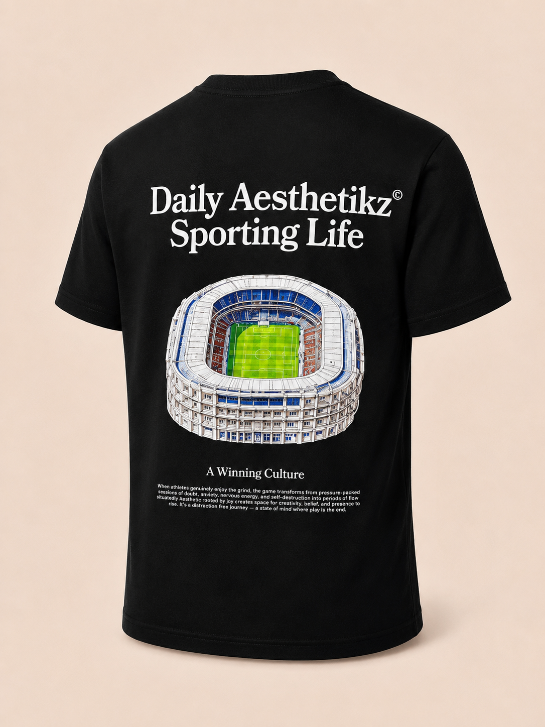 The stadium graphic Tee